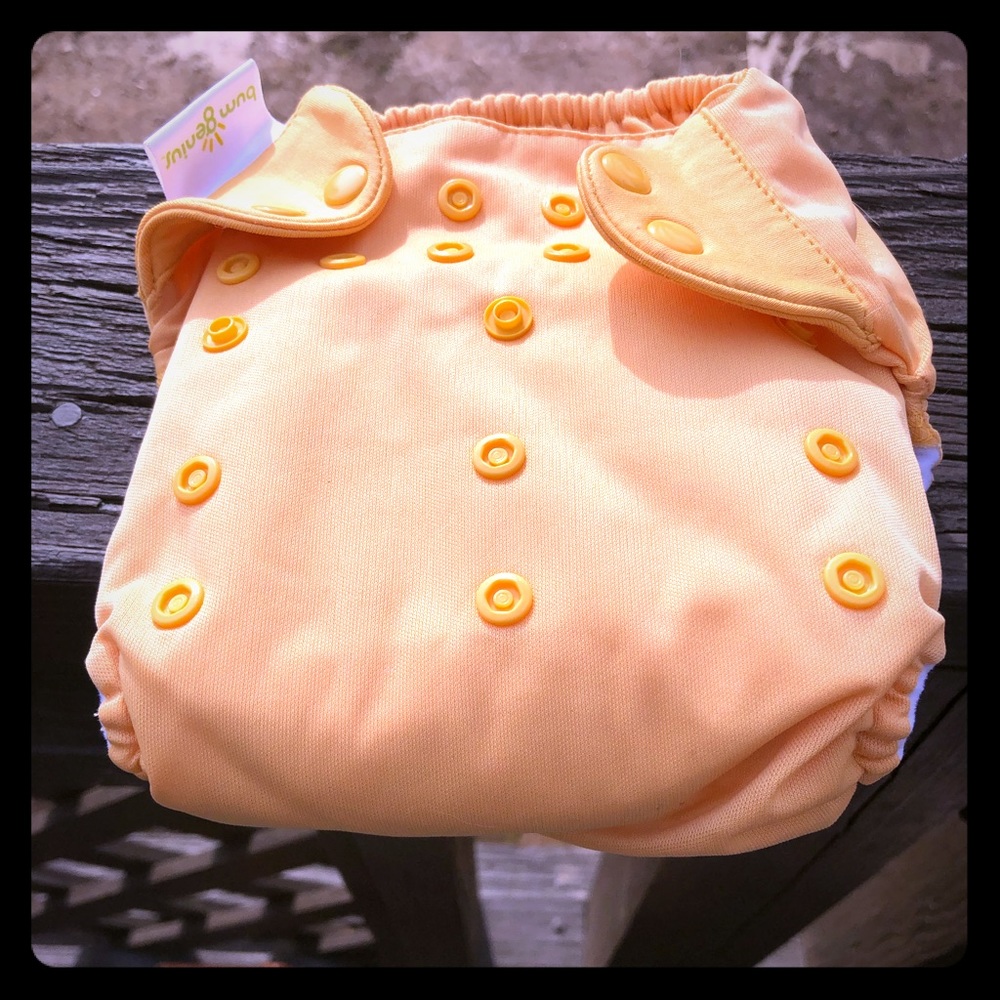 BumGenius 5.0 All In One Cloth Diaper